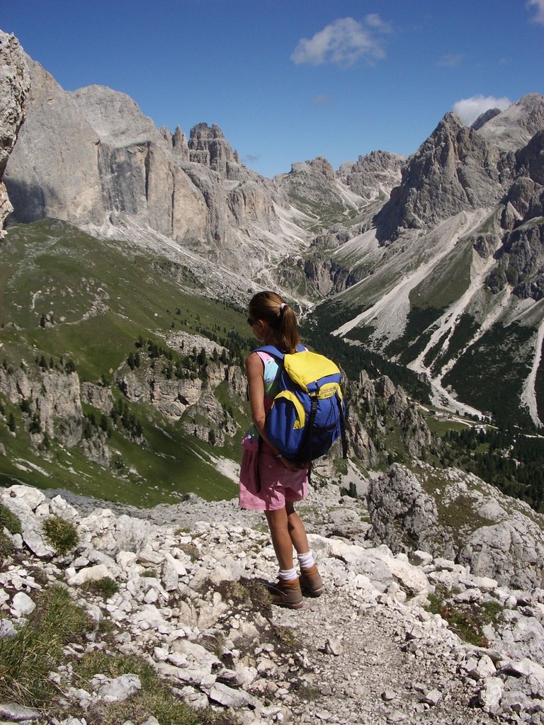 Pozza di Fassa, Province of Trento, Italy by Michele Benvegnu