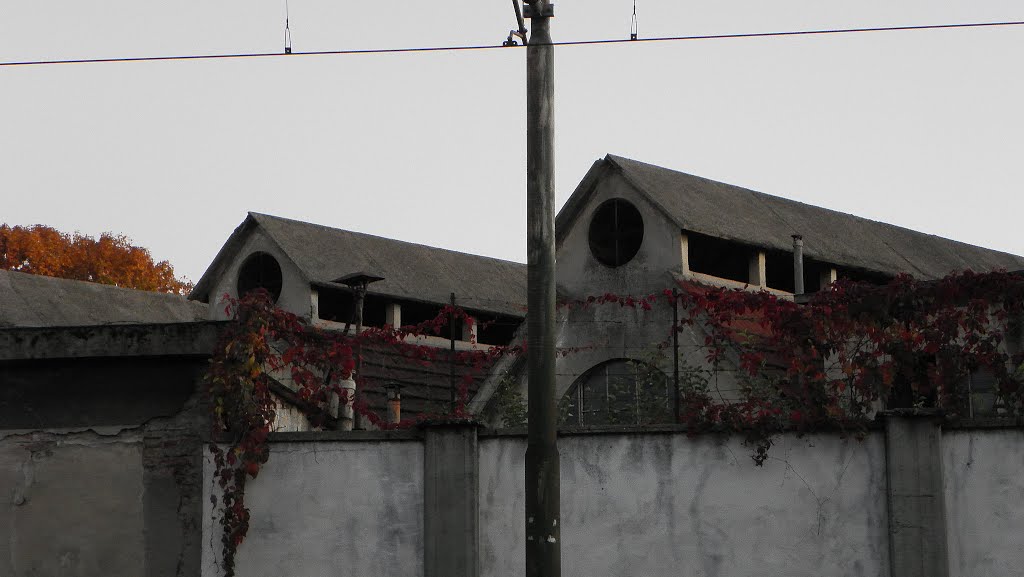 Magazzino Artiglieria e Difesa Chimica - Lanificio Piacenza by Jacopo Ibello