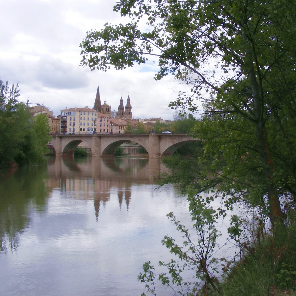 Ebro. Puente. Rúa vieja. - Logroño - by Javier Saiz Zaldo