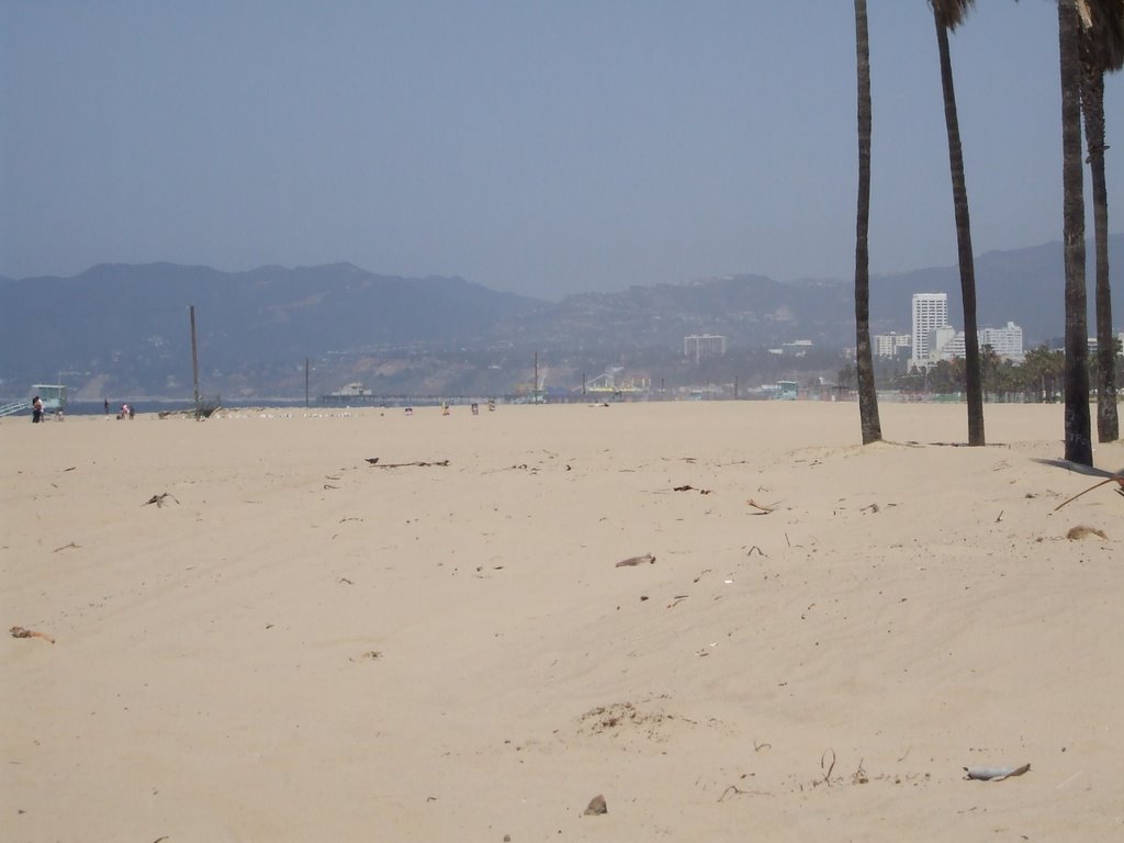 Venice Beach by Tony Perkins