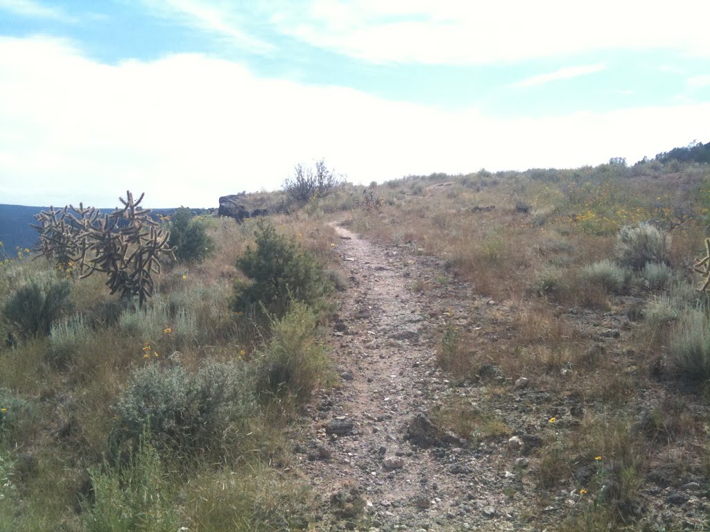 White Rock Canyon Rim Trail by forzared101