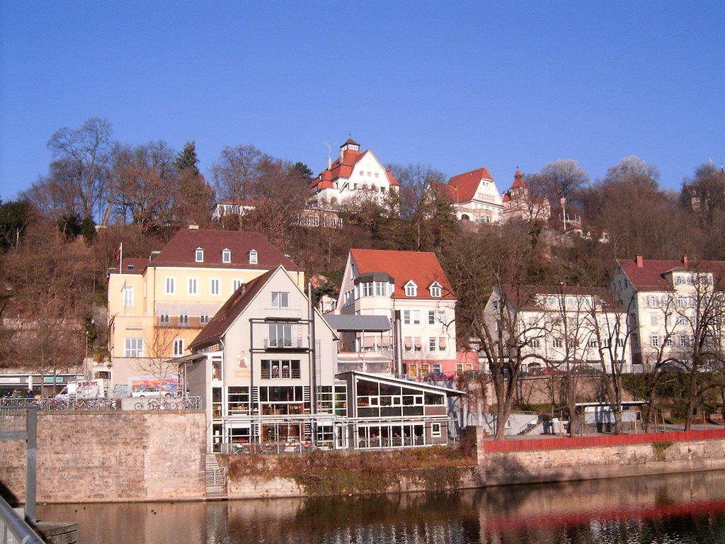 Neckar (Dec 2004) by magodin