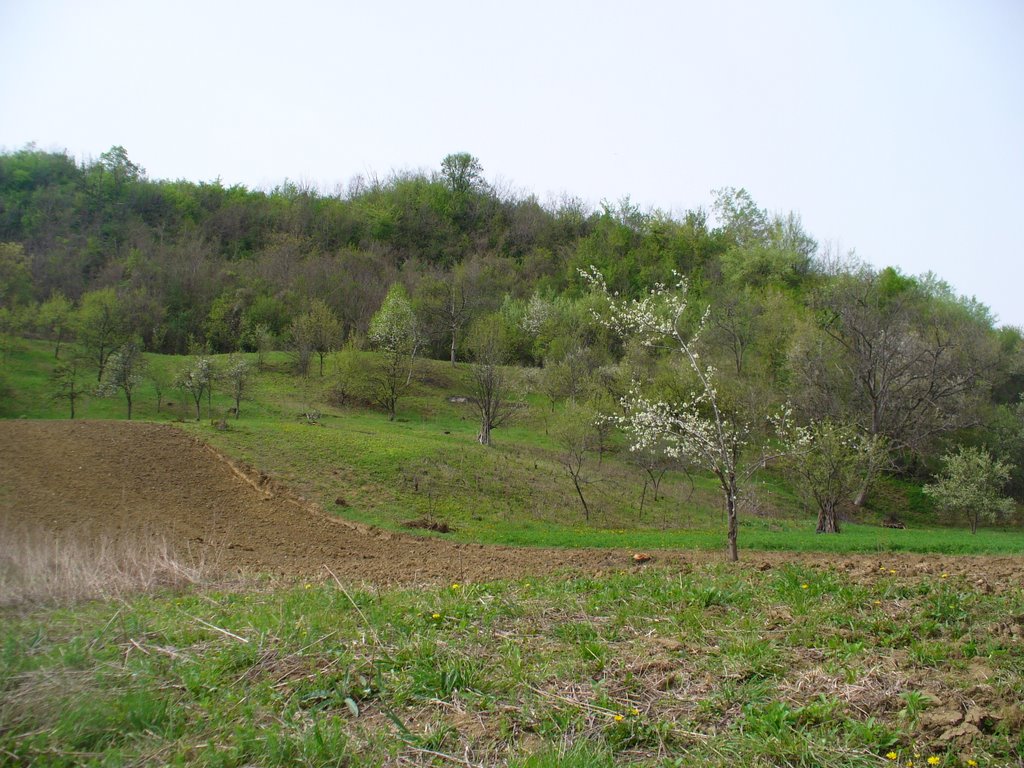 Aninoasa, Romania by ViFORATA