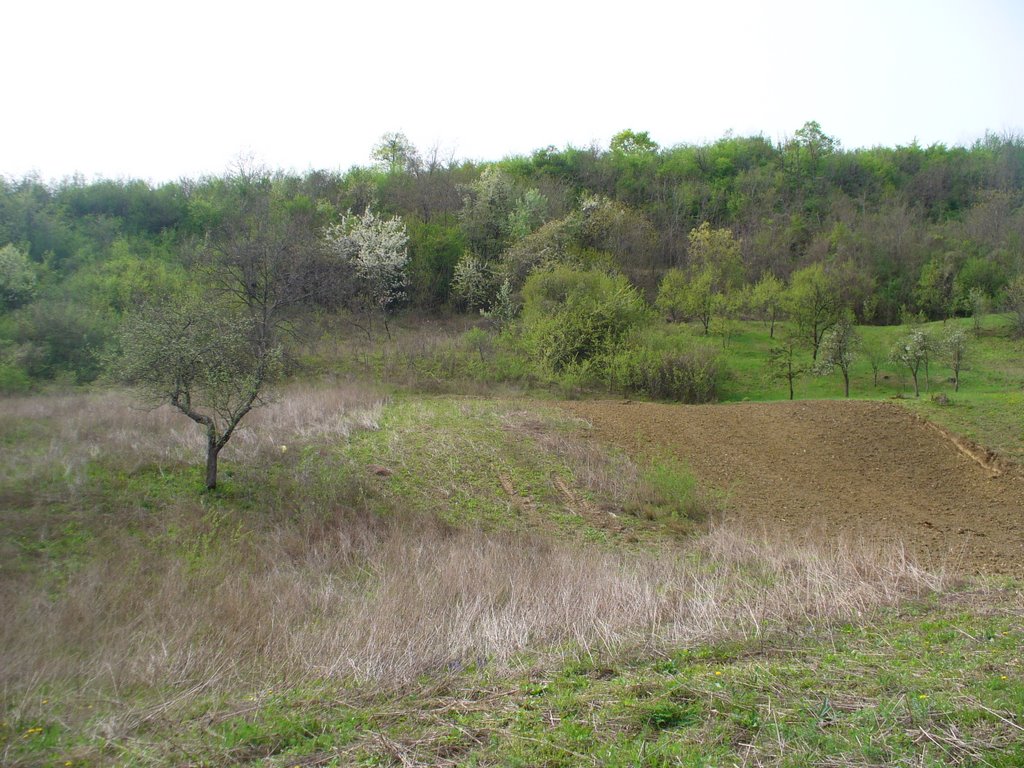 Aninoasa, Romania by ViFORATA