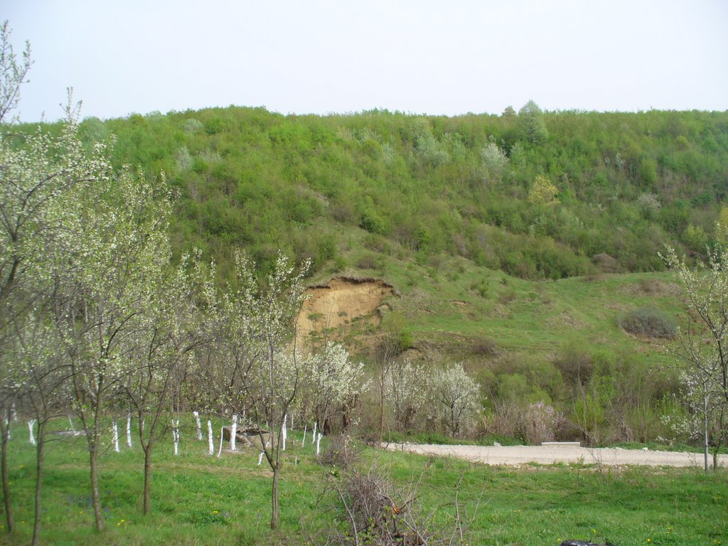 Aninoasa, Romania by ViFORATA