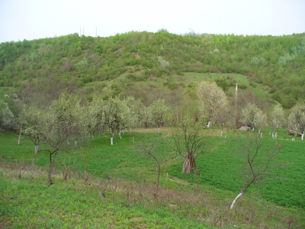 Aninoasa, Romania by ViFORATA