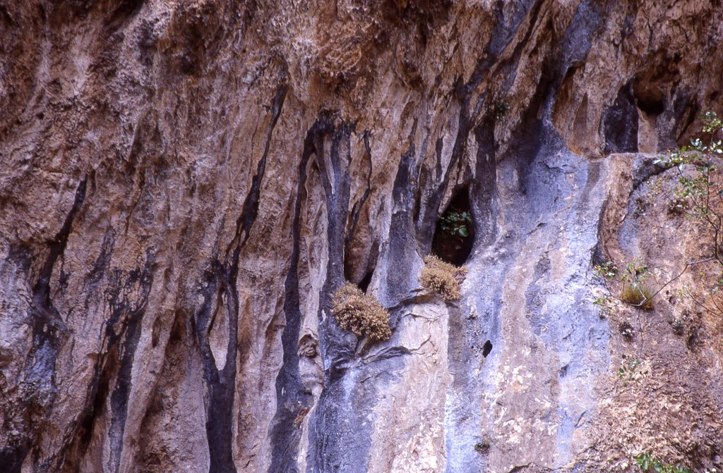 CELANO. Gole. Particolare delle rocce all’ingresso delle gole (30.07.2003) by Giacomo Mallardi