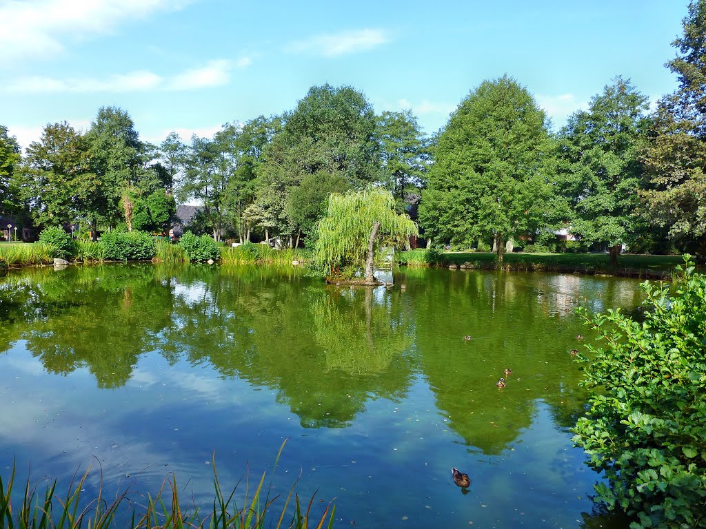 Schneverdingen - Im Südpark by Wolfgang Spillner