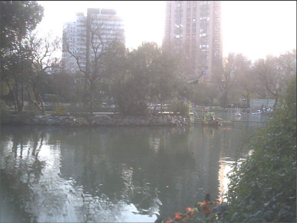 虹口公园-池塘1 Hongkou Park - the pond 1 by 竹金