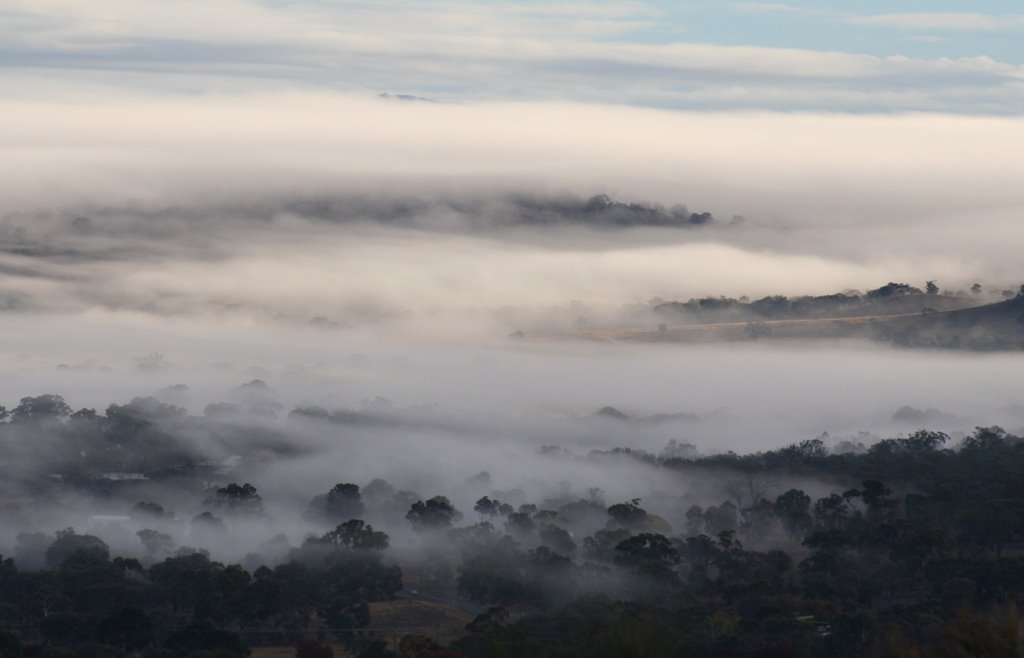 Canberra in early morning mist by Paul Strasser