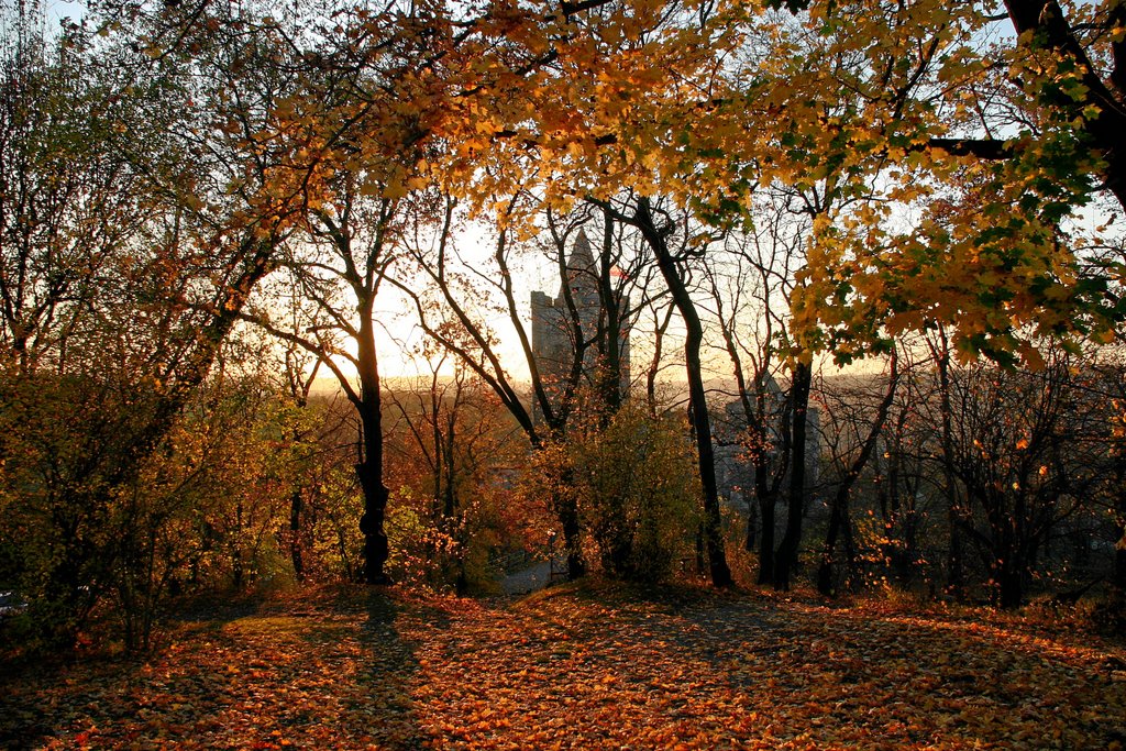 Die Rudelsburg im Herbstlicht by Andreas Flint