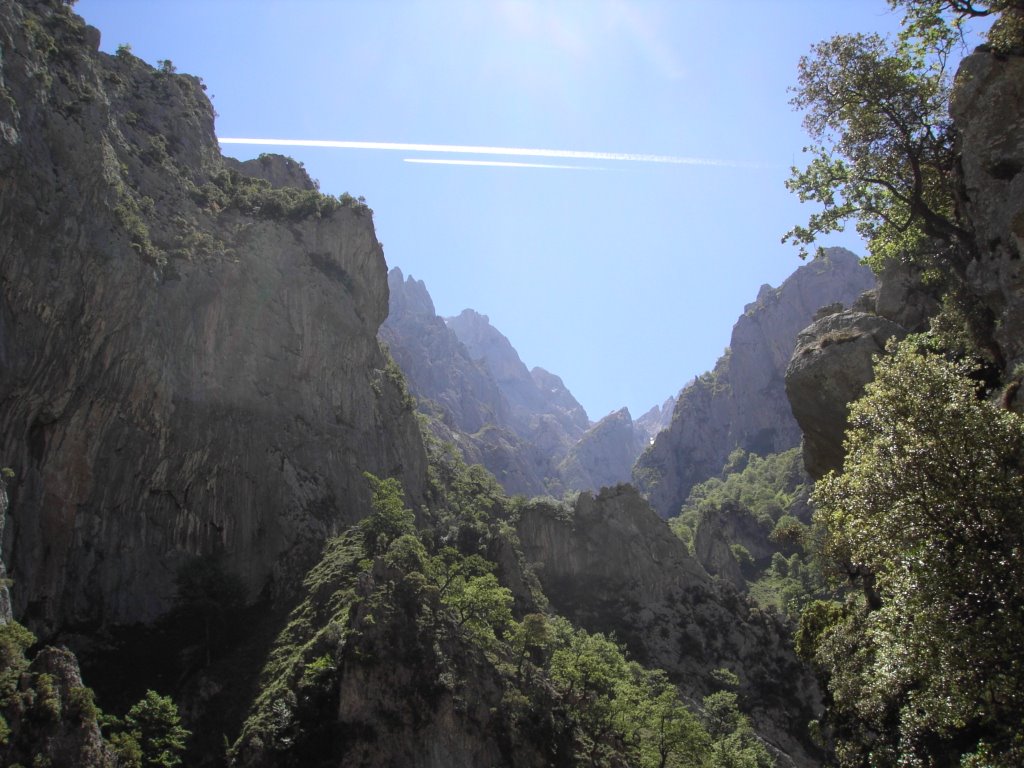 Vista desde la "Ruta del Cares" by Charlytos