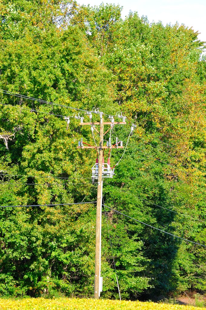 VIRGINIA: JAMES CITY COUNTY: HAZELWOOD ESTATE: the new electric pole installed by Douglas W. Reynolds, Jr.