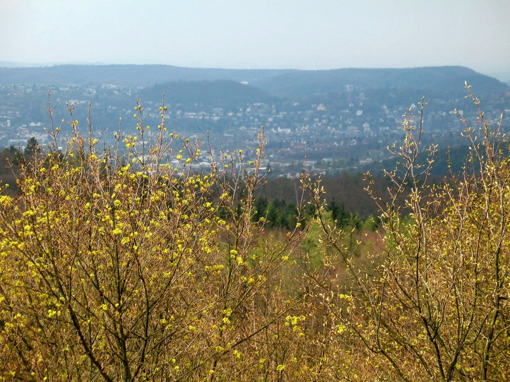 Burgruine Frauenberg-Blick von der Aussichtsplattform auf Marburg by Peter Babiel