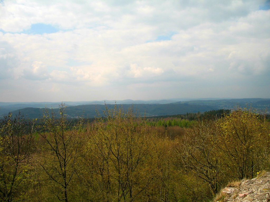 Burgruine Frauenberg-Von der Aussichtsplattform Blick auf das Hessenland (1) by Peter Babiel