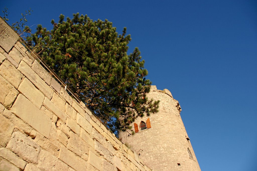 Burg Saaleck Turm 2 by Andreas Flint