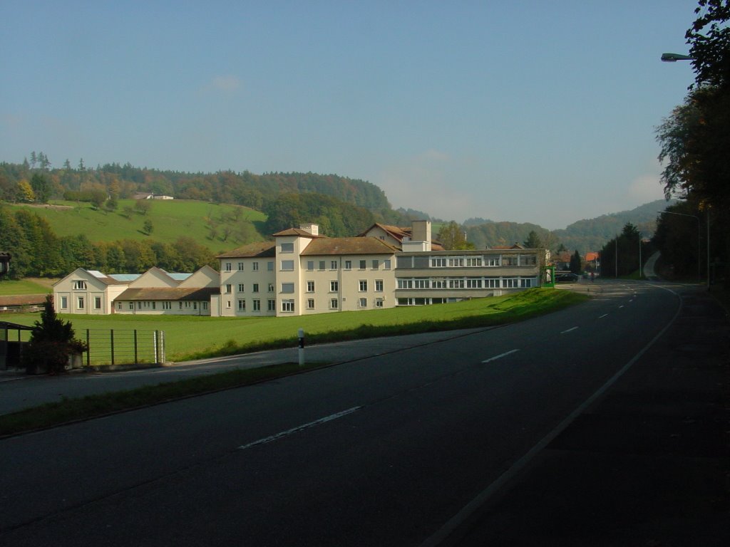 Zofingen - Mühlethalstrasse by greenplanet