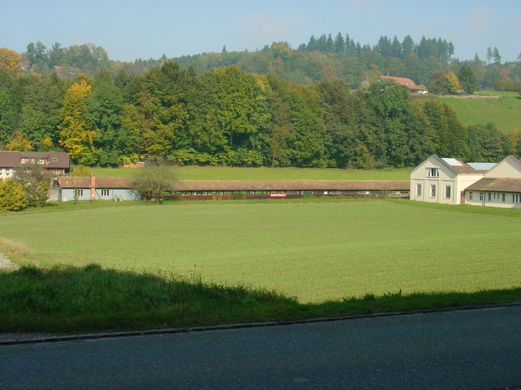 Zofingen - Mühlethalstrasse by greenplanet