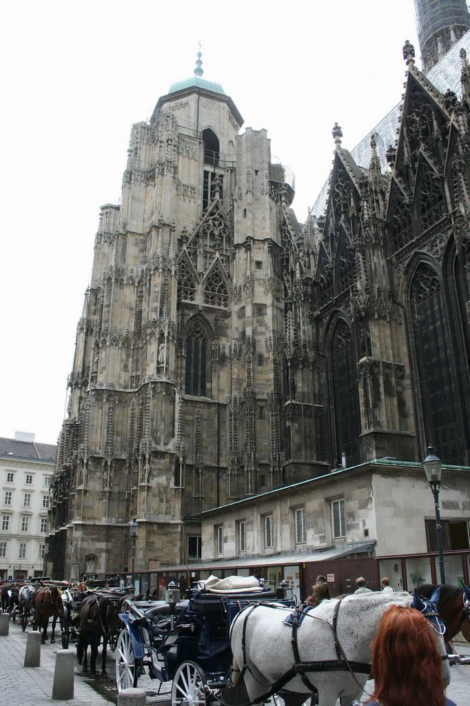 Vienna, Catedral / Bécs, Katedrális by Száller Zoltán