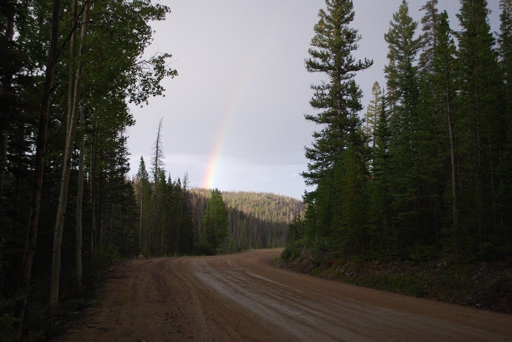 Medicine Bow National Forest near Albany Wyoming by rustingfreight