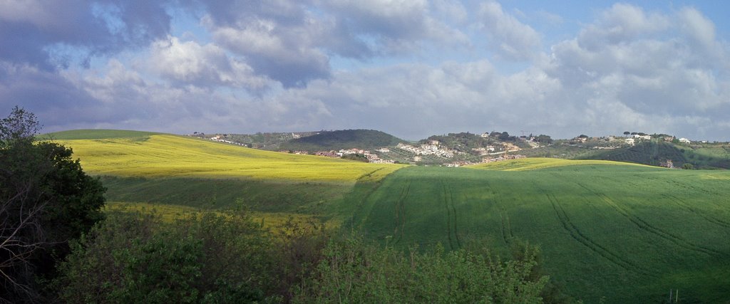 Biodiesel Flowers Panorama Highway E45 - A1 by Luigi Barbadoro - "homo latitans"