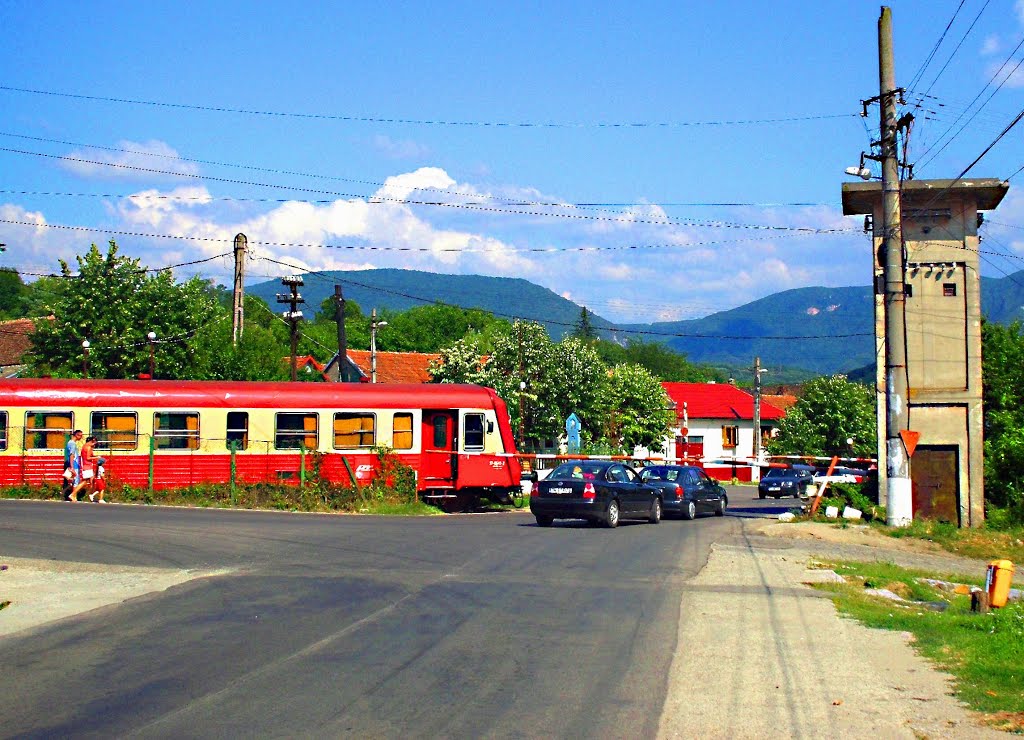 Tren Regiotrans pe relaţia Oraviţa-Iam by danger.mouse