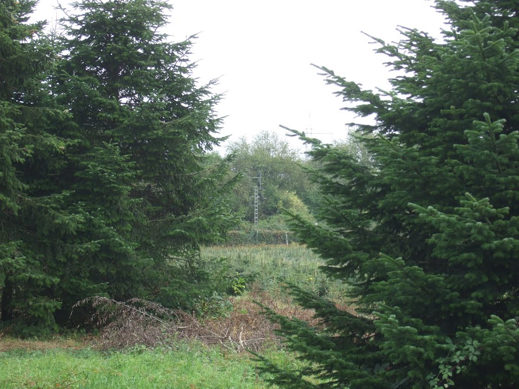 Einfahrsignal A Meerbusch seitlich by Hurrug