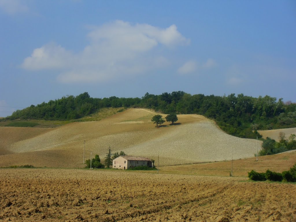 Colline di Sadurano by Lancil8