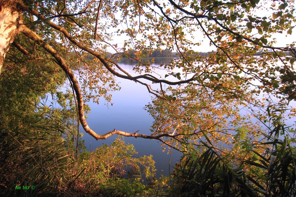 Přeloučsko - Buňkov před západem slunce by canomanka