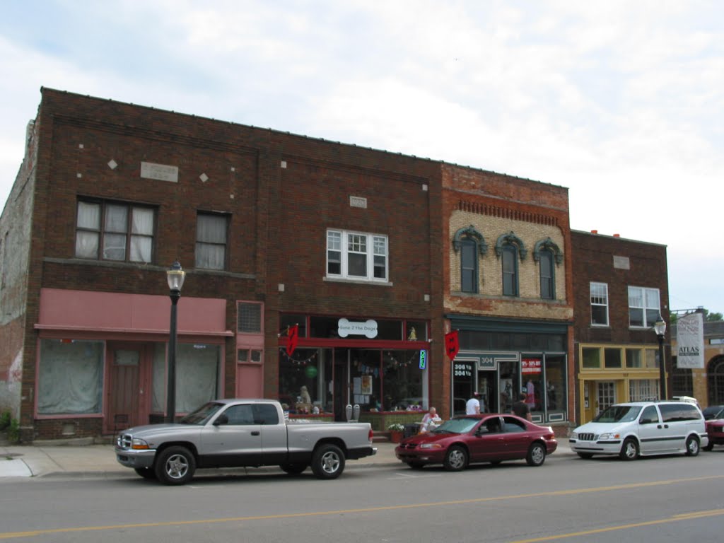 East Grand River Avenue by plumgarden