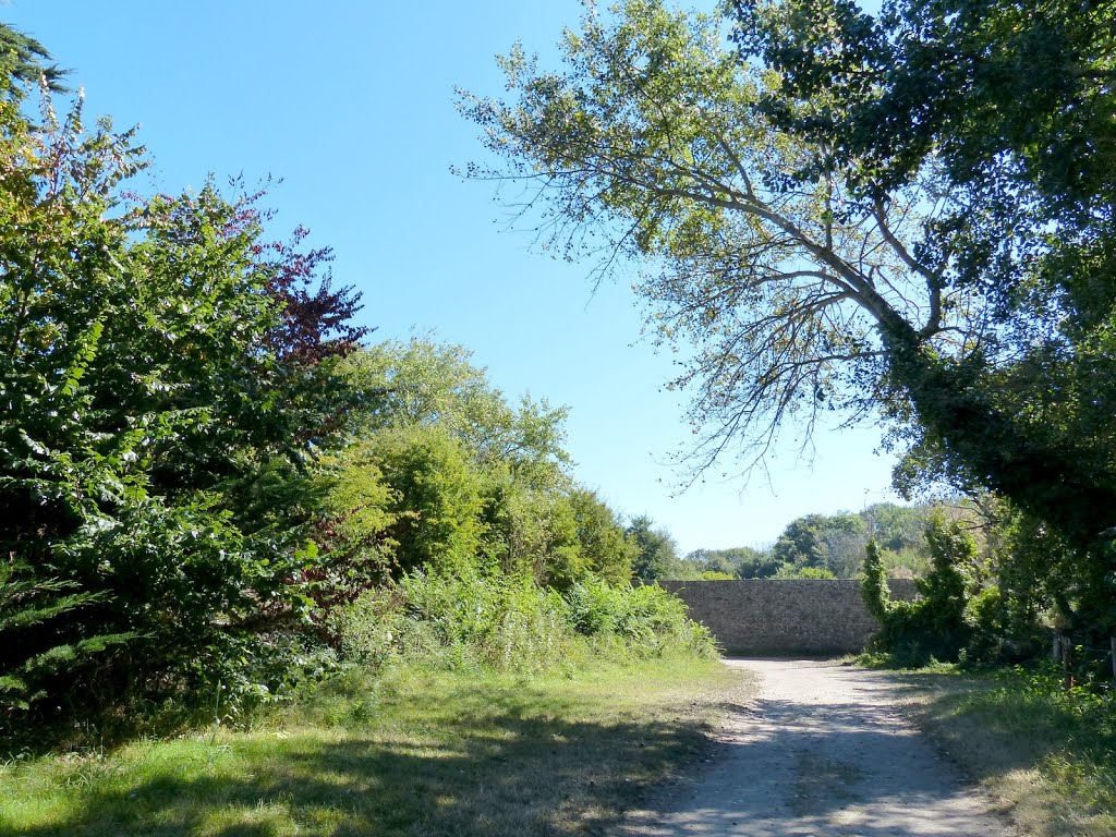 Archipel des îles Chausey by epaulard59