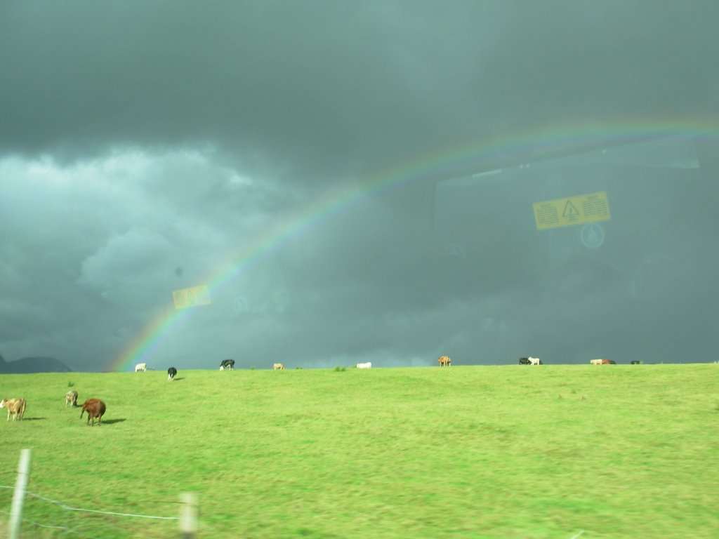 Vacas y Arco Iris en Ring of Kerry by Siro M.