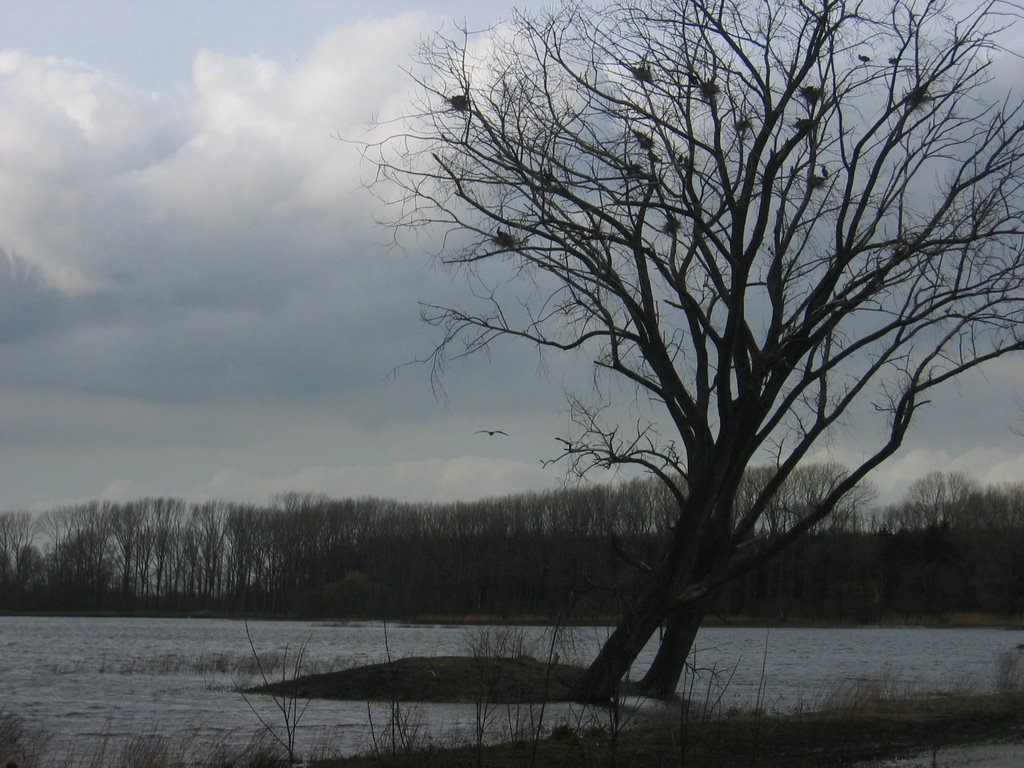 Natuurpark "de Bourgoyen" in Gent by spinifex