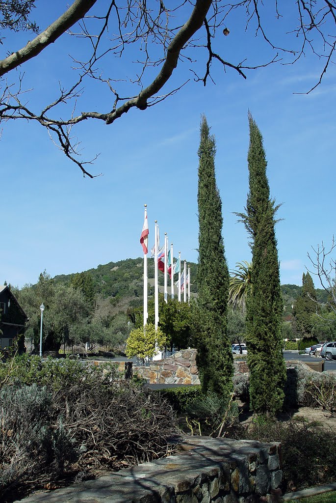 Sebastiani Vineyards & Winery, Sonoma, CA by alvaro espinel