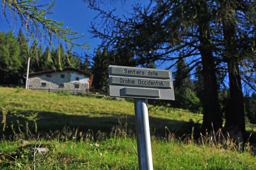 Monte Cadelle, Sentiero Orobie Occidentali, Foppolo by Stefano Dell'Orto