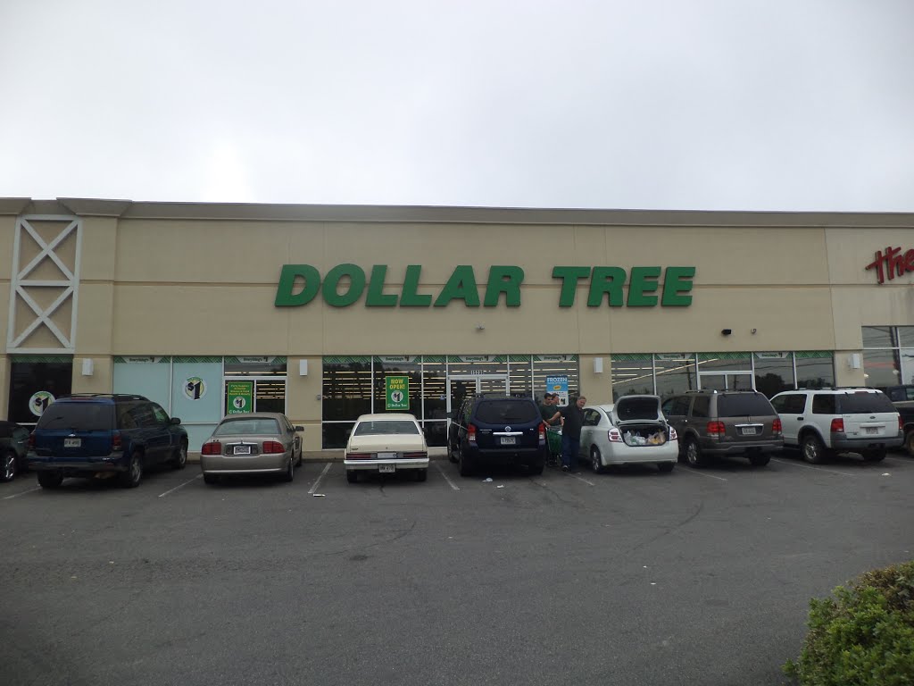 Dollar Tree, US 19, Thomasville by mriveraz