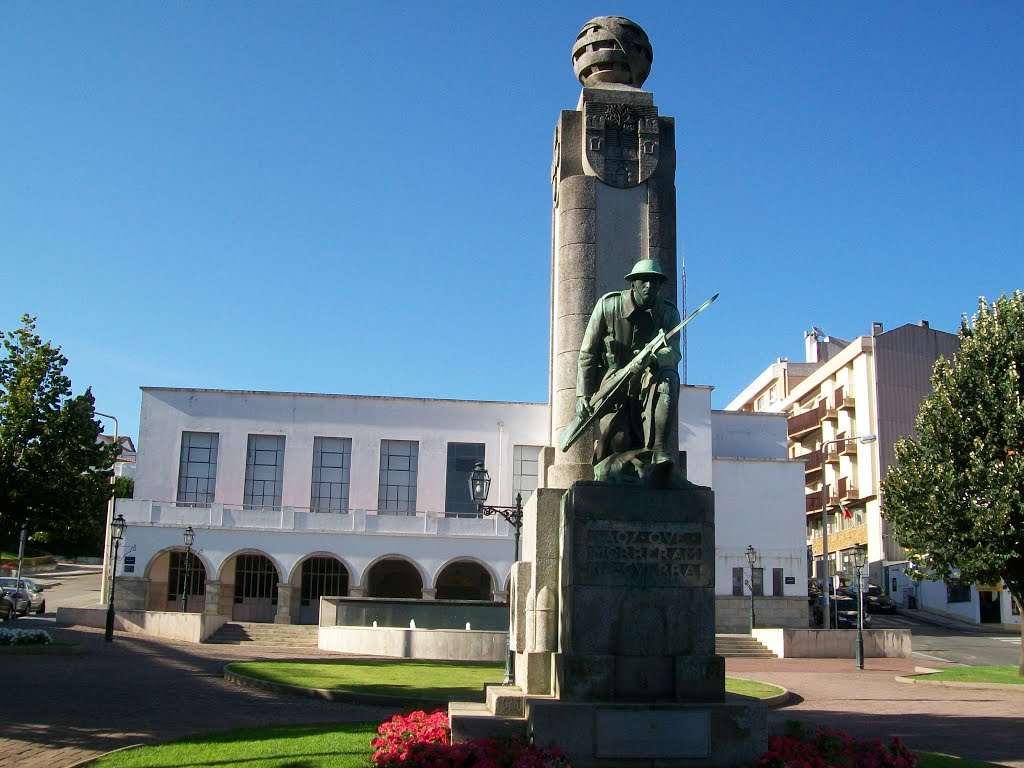 OLIVEIRA DE AZEMEIS (Monumento ao Soldado - Guerra 1914/1918) by Fernanda Veloso