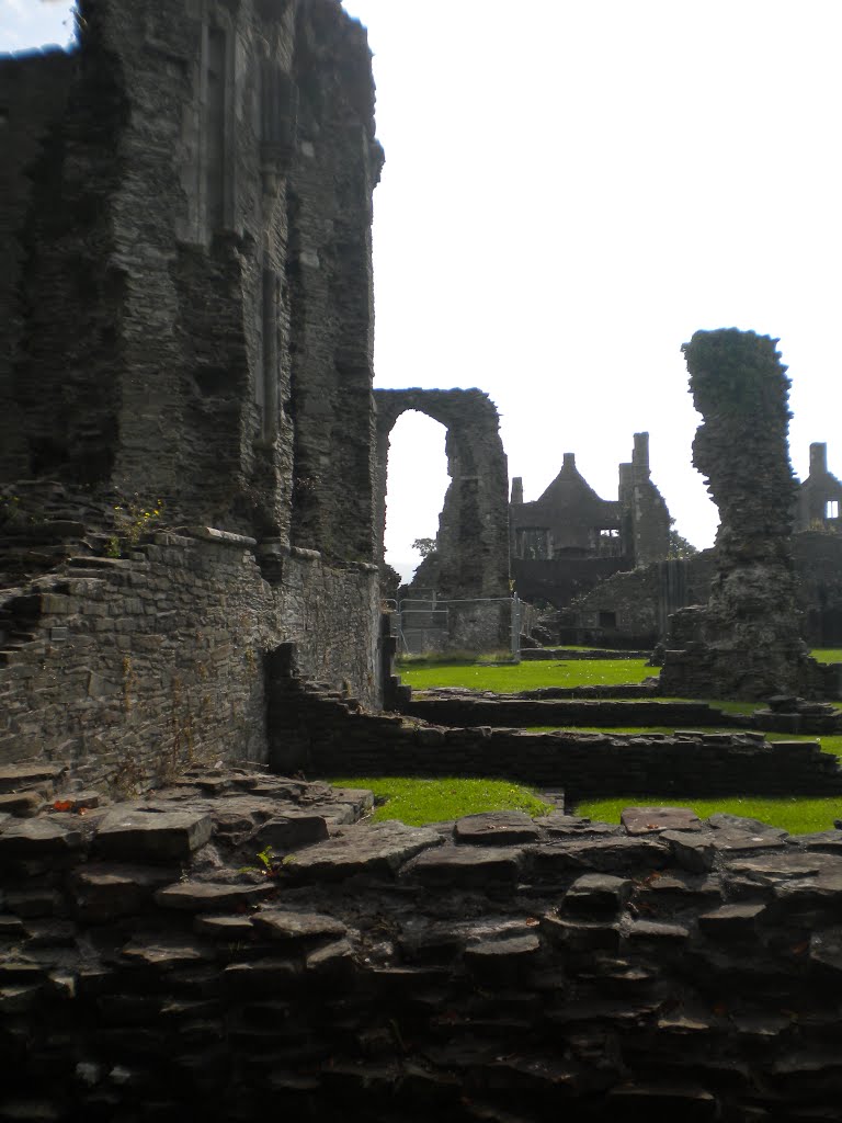 Neath Abbey by David Owen