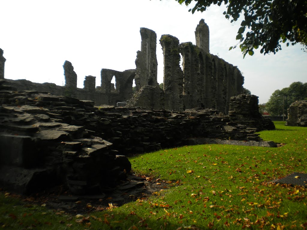 Neath Abbey by David Owen