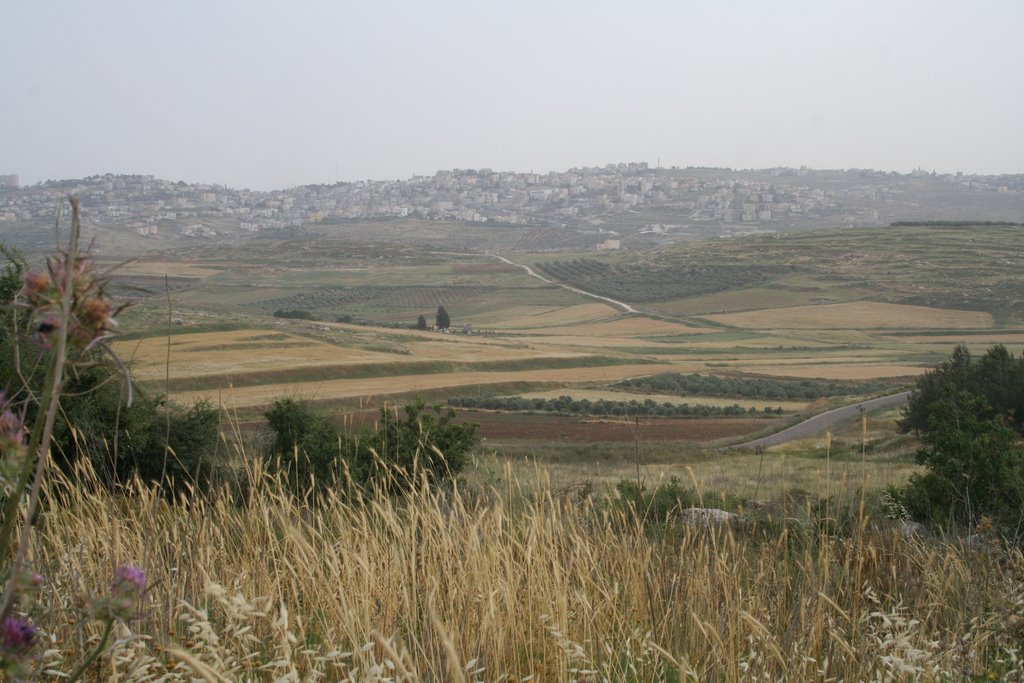 Nazareth from Tsipori - christian gospel trail - 1 by oronbb