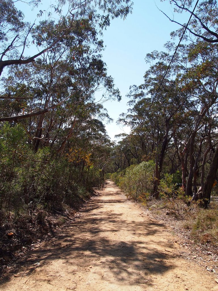 Govetts Leap Road by WoollyMittens