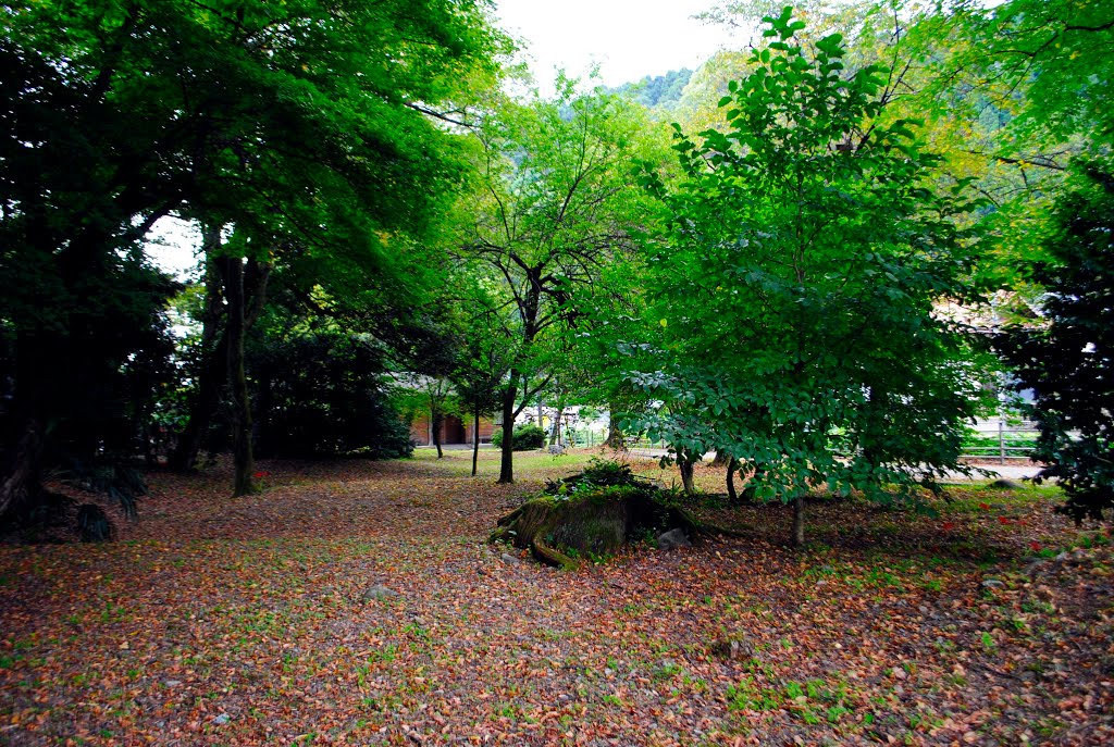 Tedori Water-Front Park　親水公園 by paleblue49