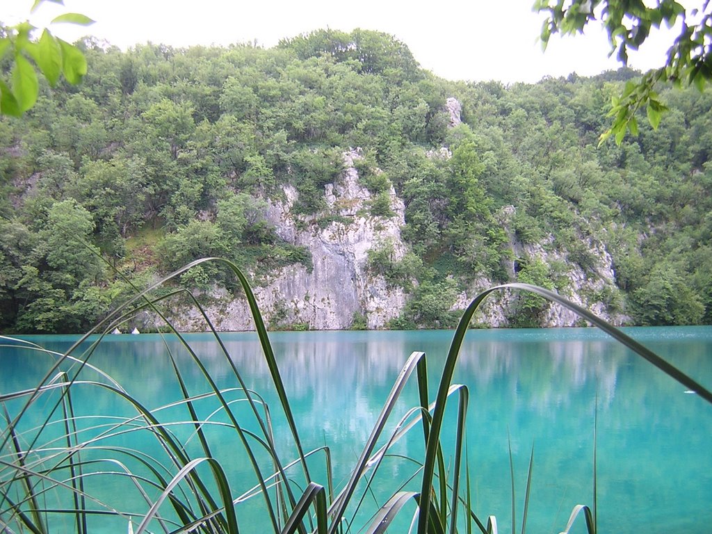 Plitvice lakes (Croatia), summer 2007 by rdaniel