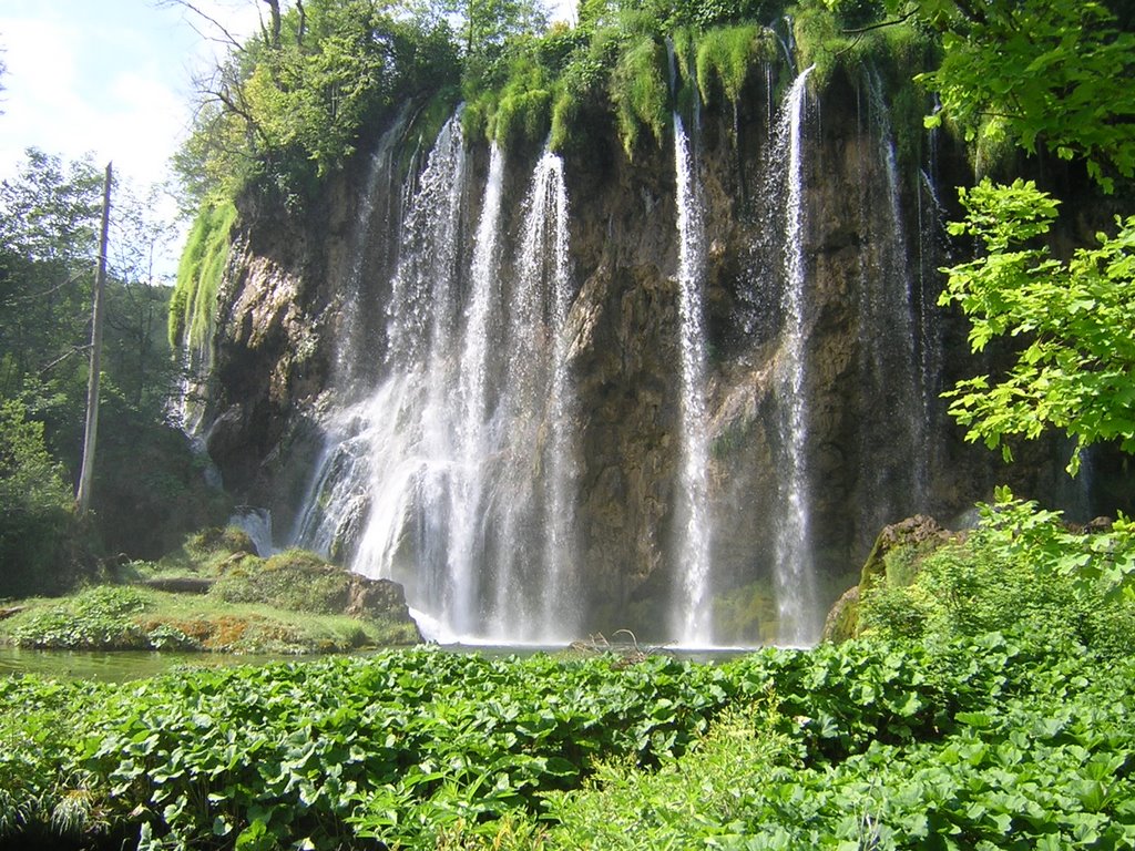 Plitvice lakes (Croatia), summer 2007 by rdaniel