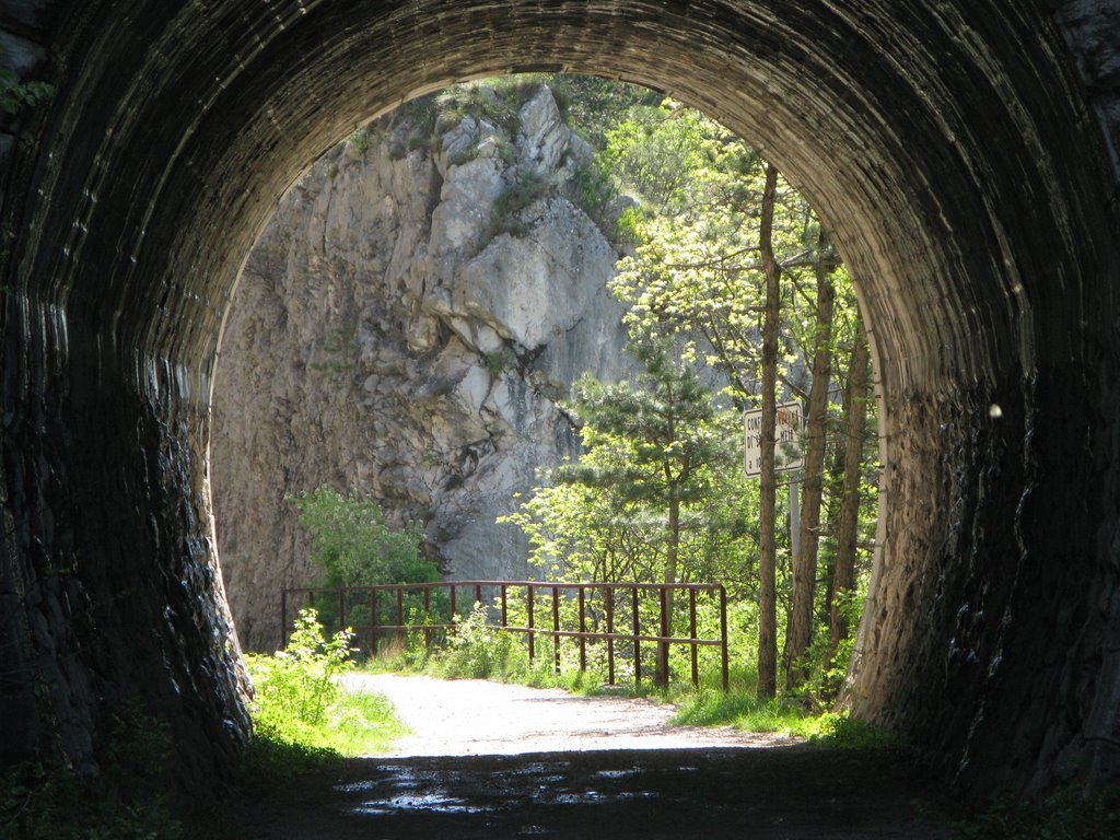 Ex ferrovia della Val Rosandra by zorrokat