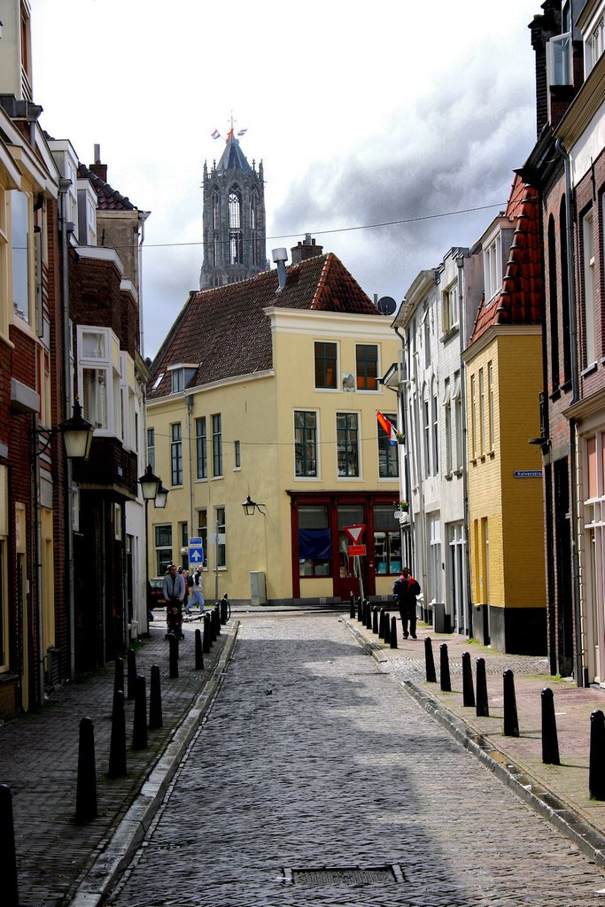 AR Utrecht/Hardebollenstraat/Domtoren by ©arnold.rog/nl