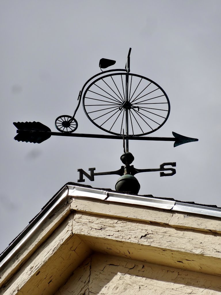 Pennyfarthing weathervane by Taoab