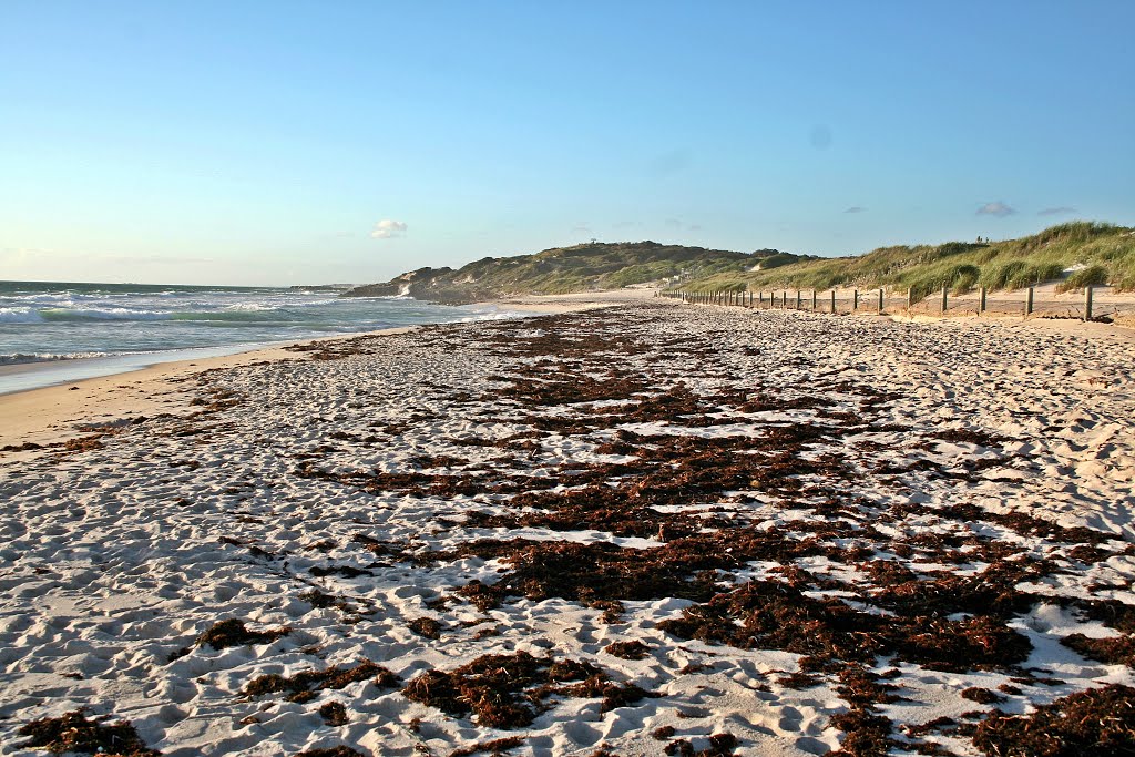 Mullaloo Beach in Spring by Peter Connolly