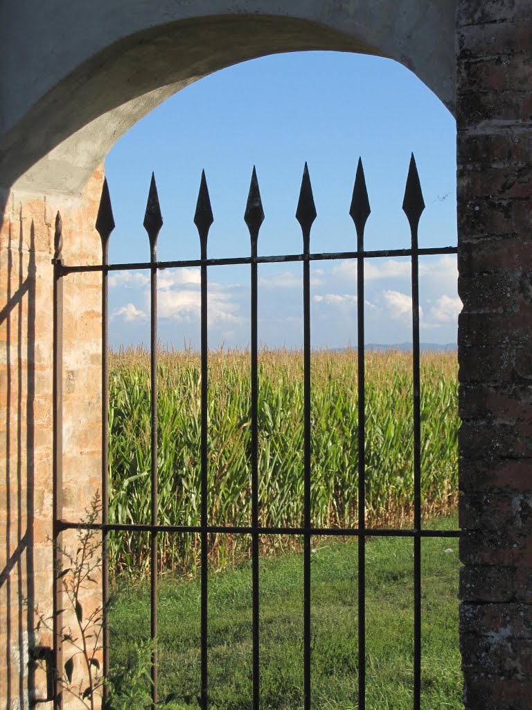 TTT June 2014 - Beyond the gate..... by barbaradel