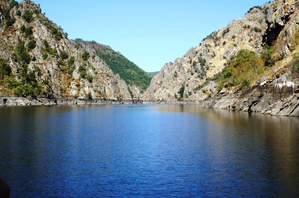 El río Sil y la Ribera Sacra. Viñedo de la Ribera Sacra. by Hikergoer